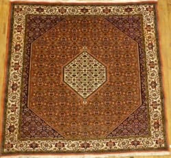 Small Bijar Rugs