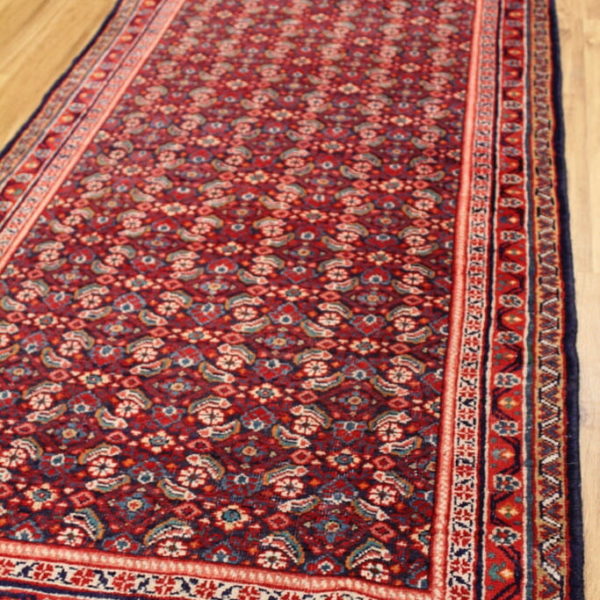 Bijar - Herati Rug